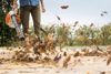 PictureAltAttribute - img-2-22-jpg